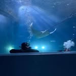 Kim Hamer - @kfhamer1 - Instagram