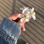 hnnona 🫀🧸 - @kim._.hannona - Instagram