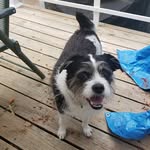 Kim Hannon - @hannon46822 - Instagram