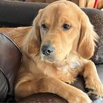 Kim Lee Harbison - @kim.harbison - Instagram