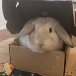 Kim Hardwick - @kim_hardwick2022 - Instagram