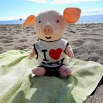 Kim Fehlen-Hassel - @pig_unini - Instagram