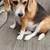 Kim Haugh - Facebook
