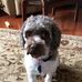 Kim Haugh - Facebook