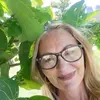 Kim Haugh - @kimberlyhaugh455 - TikTok