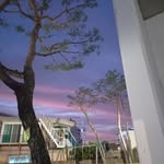 hs-0815 - @kimhawsun3770 - Instagram