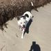 Kim Hayhurst - Facebook