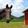 kimberlyhedden3 - @kimberlyhedden3 - TikTok