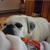 Kim Hedges - Facebook