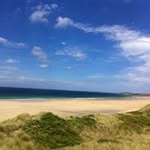Kim Hedges - @hedges_kim - Instagram
