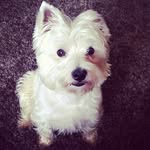 Kim Hedges - @kimh1968 - Instagram