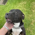 kim hedges - @randkhedges - Instagram