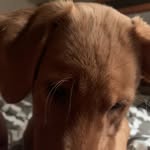 Kim Heffner - @kimmie_joh - Instagram