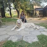 So Birdi - @kim.helm.771 - Instagram
