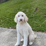 Kim Helmick-Keener - @kjjkkeener - Instagram