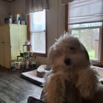 Kim Helsel Hetz - @helselhetz - Instagram