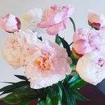 Kimberly Hembree - @lacerufflesrust - Instagram
