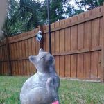 Kim Hemingway - @kimhinflorida - Instagram