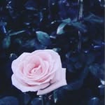 KIM_HEON - @kimhe.on - Instagram