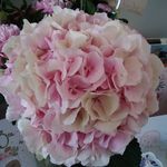 Kim Heron - @sistersentwined - Instagram