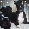 Kim Heron - @hollypops12345 - TikTok