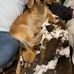 Kim Hewitt - Facebook