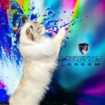 Kim Hickman - @ready_set_groom - Instagram