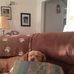 Kim Higdon Lewallen - Facebook