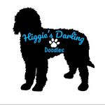 Kim Higginbotham - @thenewhiggiesdarlingdoodles - Instagram
