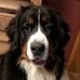 Kim Higginbotham - Facebook