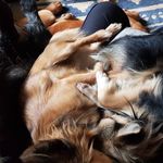 Kim Hitchens - @kimhitchens66 - Instagram