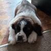 kimhitchens985 - @kimhitchens985 - TikTok