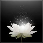 Kim Hoa - Facebook