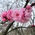 Kim Hocking - Facebook