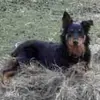 Kim Hocking - @kim.hocking0 - TikTok