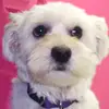 Kimberly Hoffmeyer - @kimberlyhoffmeyer014 - TikTok