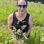 Kim Hokanson - @wishingstar9 - Instagram