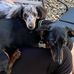Kim Hokanson Rupp - Facebook