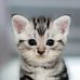 Kim Hoke - Facebook