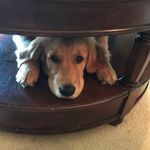 Kim Holbert - @holbert.kim - Instagram