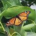 Kimberly Holbert - Facebook