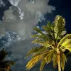 Kim Hope - @kim.hope37 - TikTok
