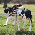 Kim Horning - @kimhorning1 - Instagram