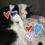 Kim Howie - @khowie03 - Instagram