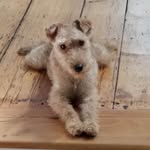 Kim Howie - @howie.1978 - Instagram