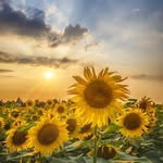 Kim Howie Stander - @kimstander - Instagram