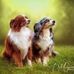 Kim Hunsaker - Facebook