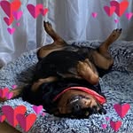 Kim Huntley - @kimhuntley11 - Instagram