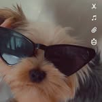 Kimi🕶️ - @kimi.mes.2_4 - Instagram