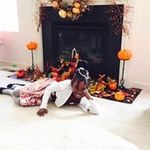 Kim Irving - @kim.irving.39982 - Instagram